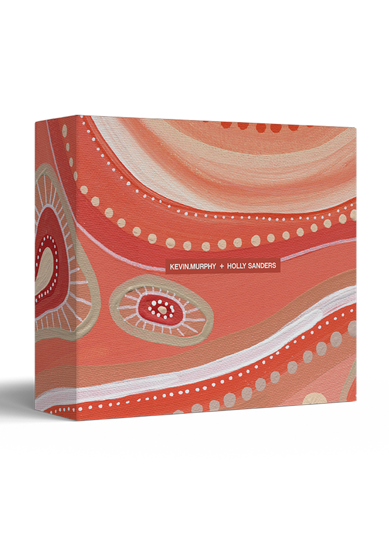 KEVIN MURPHY INFINITE COLOUR SET