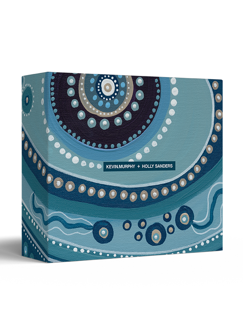 KEVIN MURPHY READY, SET, REPAIR SET